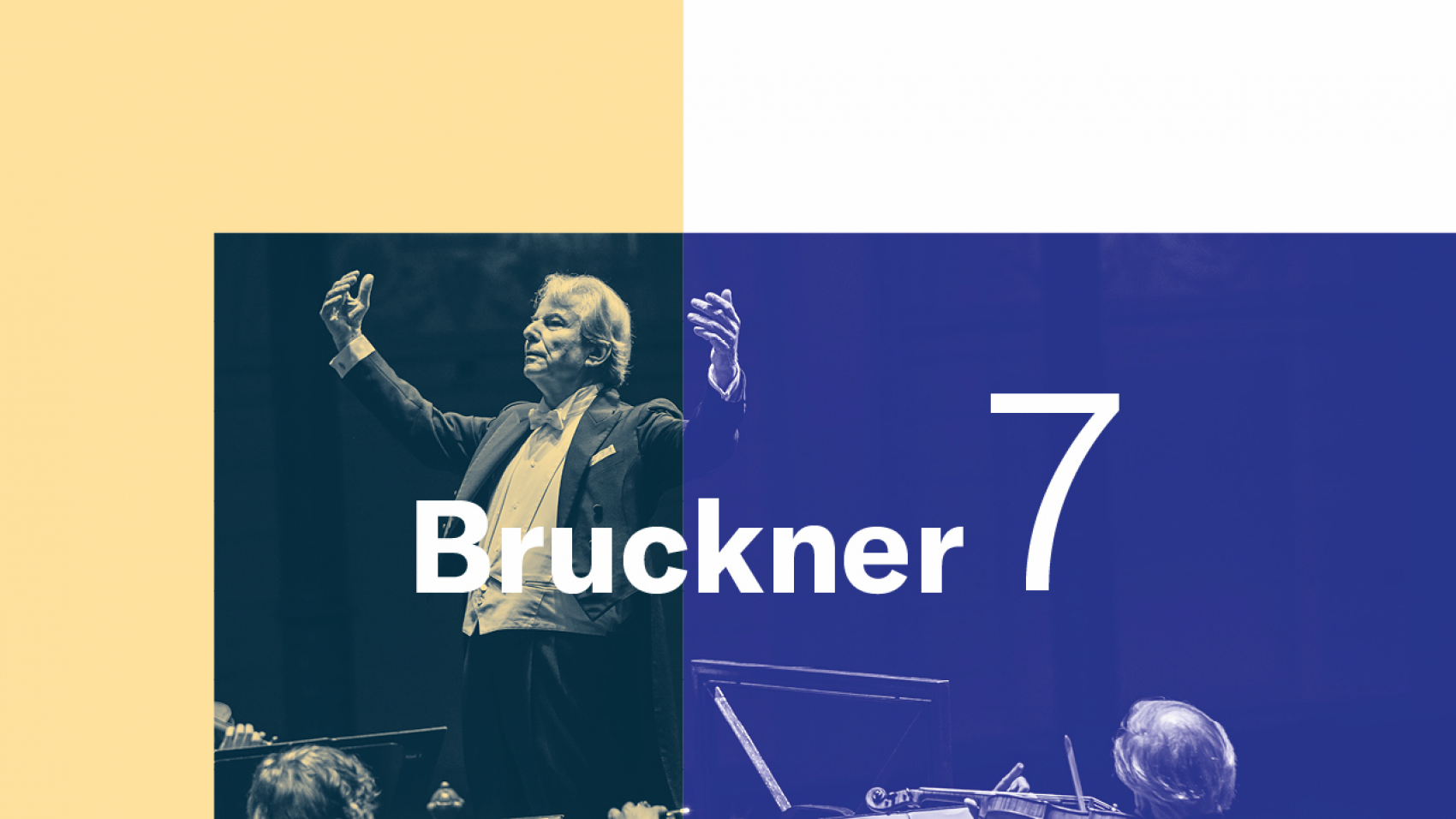 Programmatoelichting