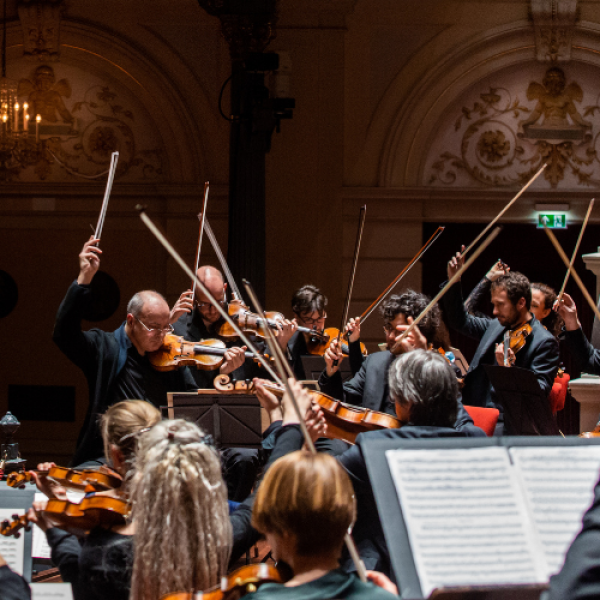 Nederlands Kamerorkest
