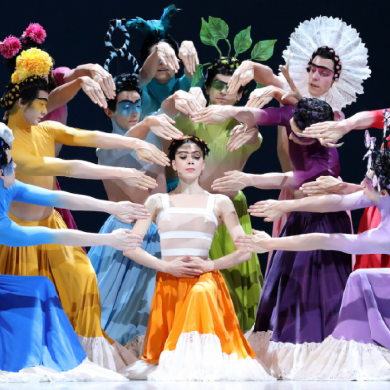 Het Nationale Ballet