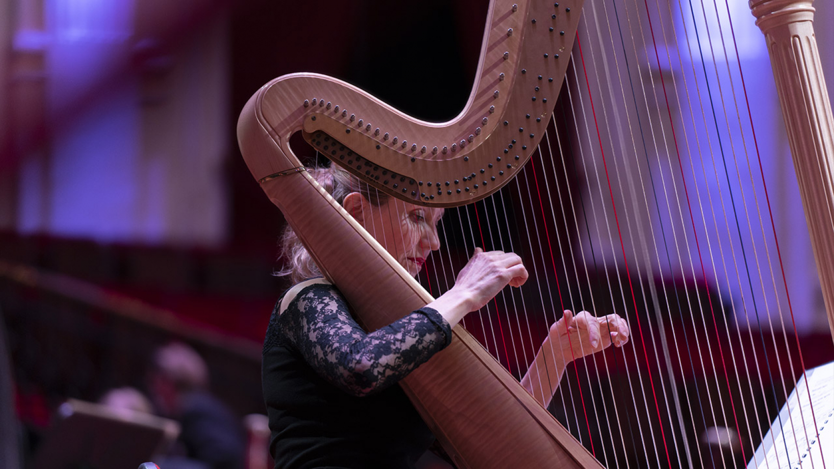 Koepelconcert: Zuid-Amerikaanse passie