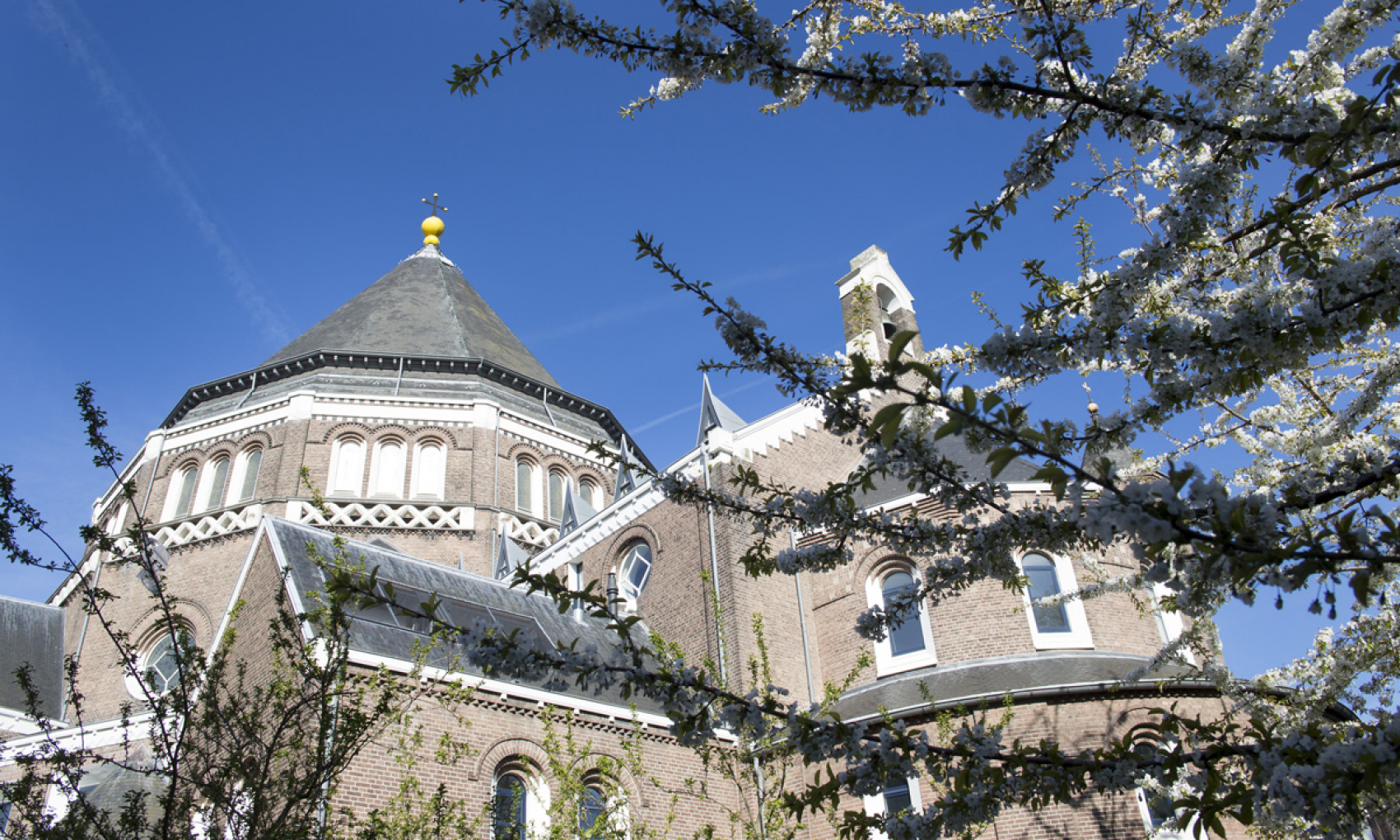 Senior medewerker corporate partnerships (32 tot 36 uur)