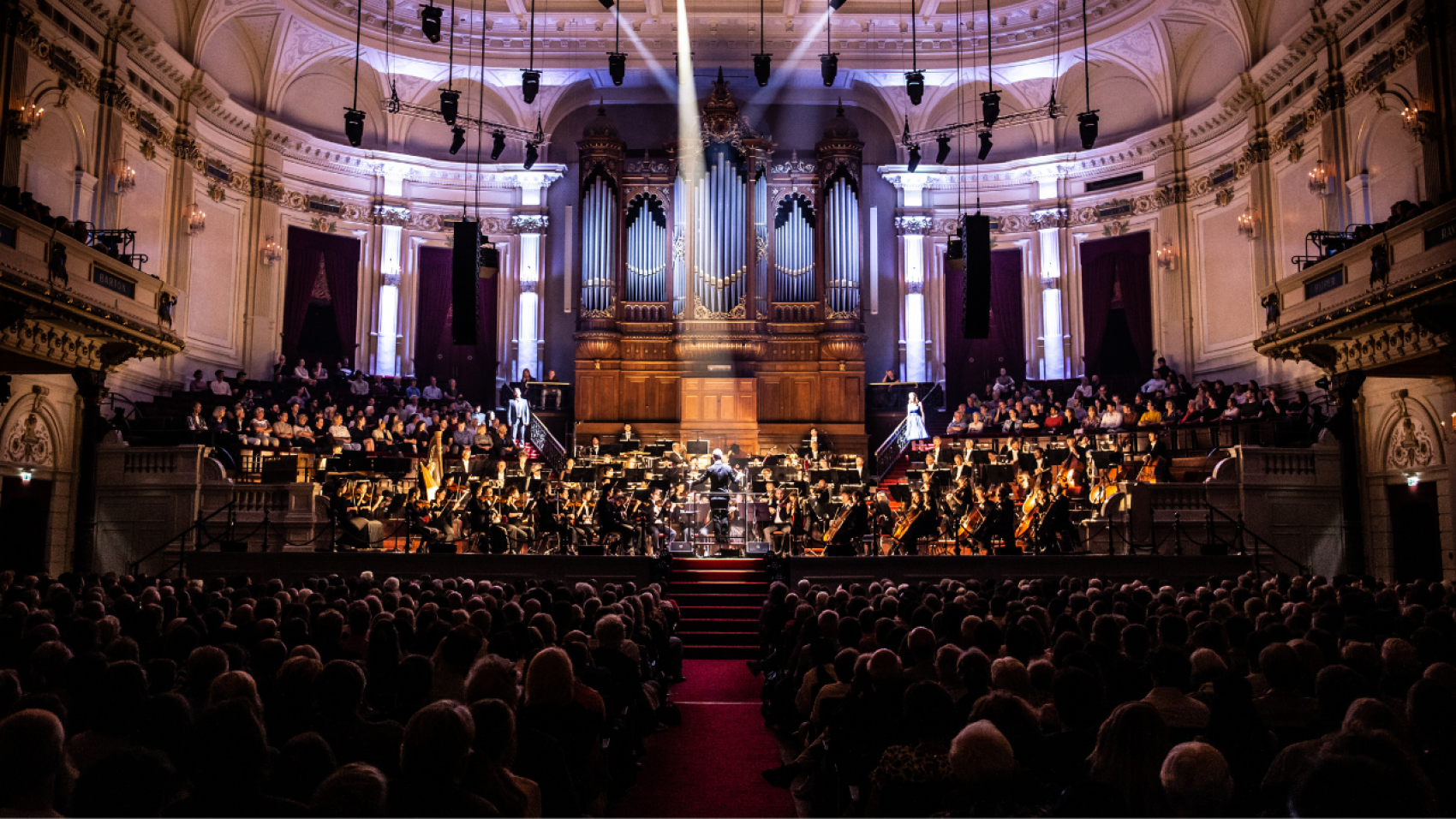 Uitmarkt-aanbieding!