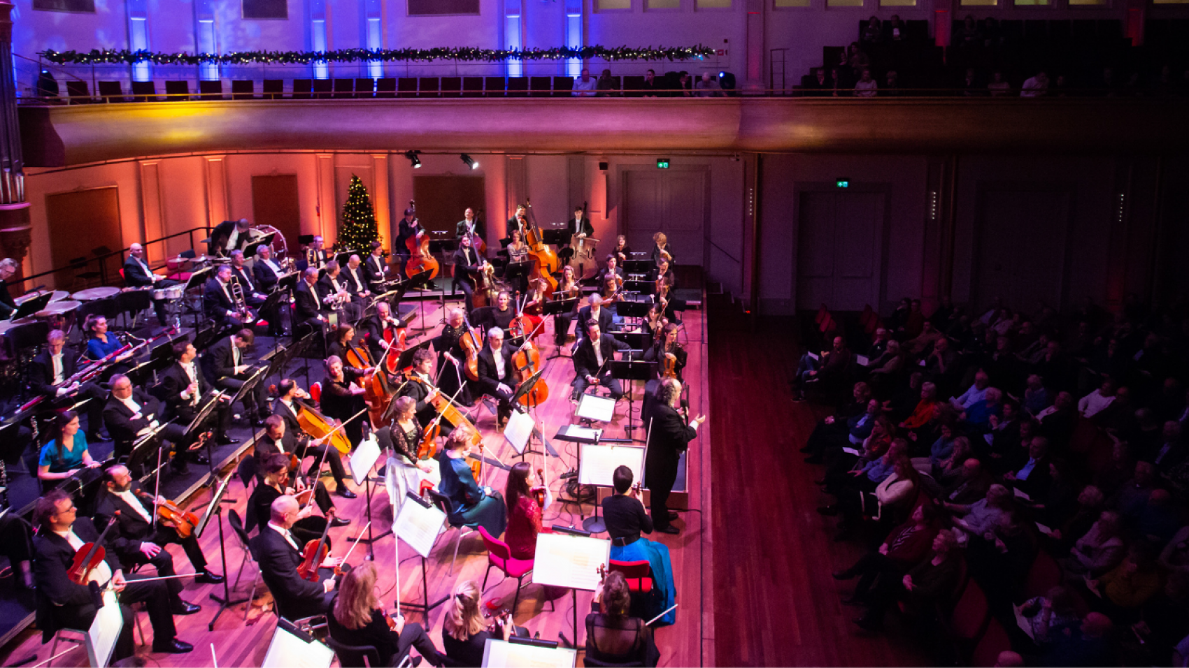 Concerten in PHIL Haarlem